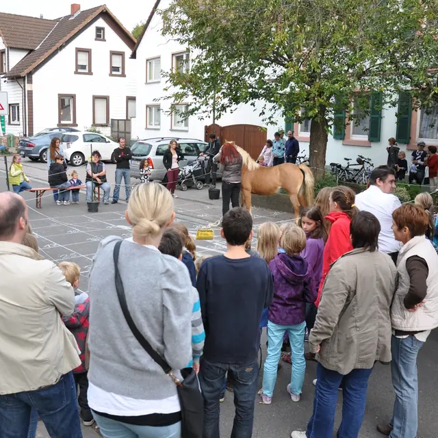 Arrangementer & koncerter — billede 20